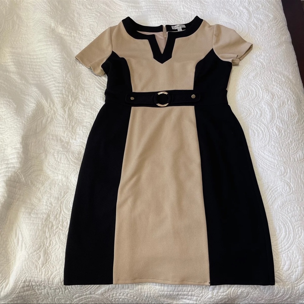 Dressbarn Dress